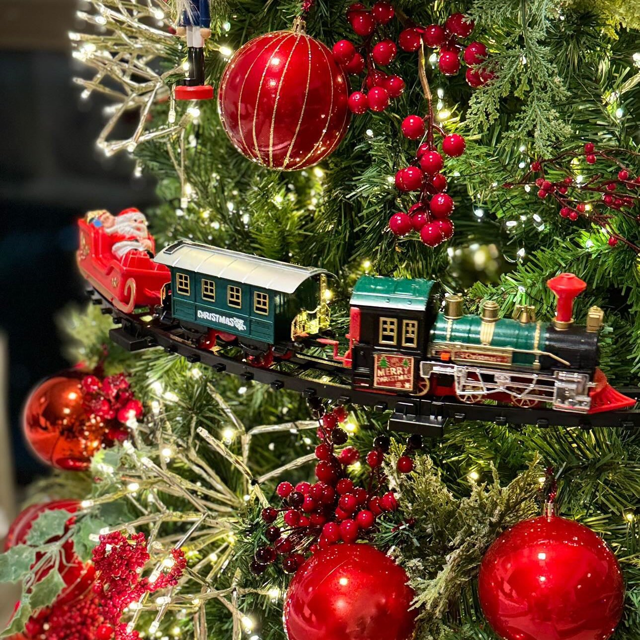 trem_eletrico_natalino_flutuante_papai_noel